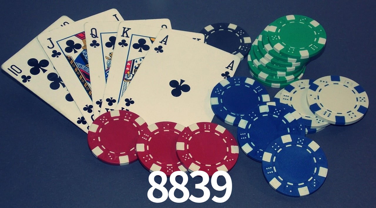 Game Statistics 8839